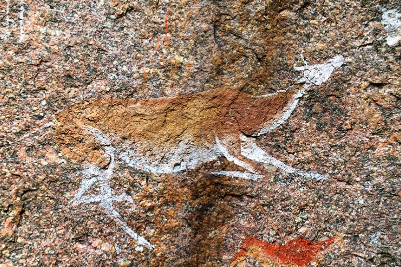 BushMan Paintings